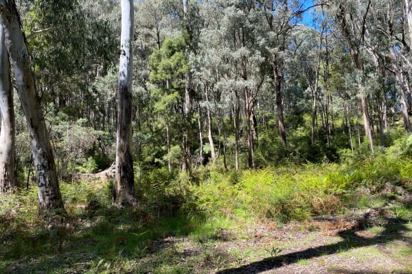 Photo by Ania Daria Sekula