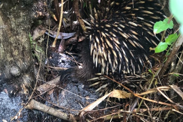 Photo by [deleted user]