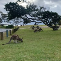 Photo by Mercedes W.