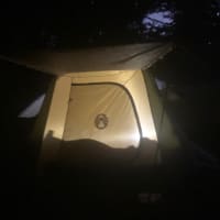 Photo by Henry Thiệp Lê