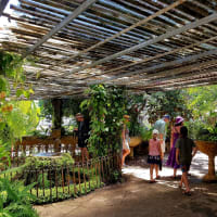 Photo by My Rig Adventures