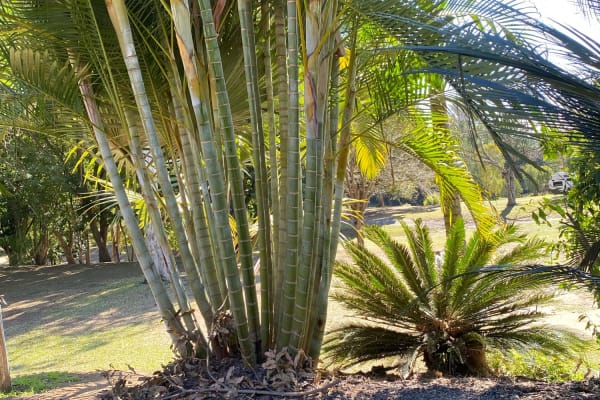 Photo by Cristina B.