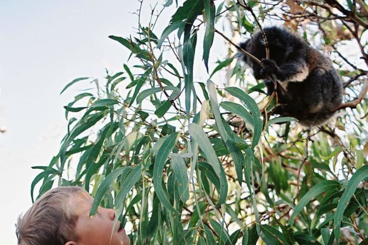 Photo by Helen de la Perrelle