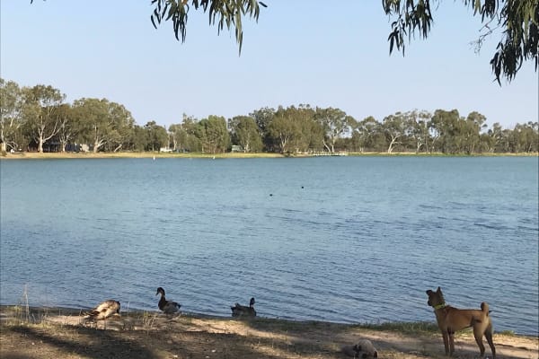 Photo by the road unknown