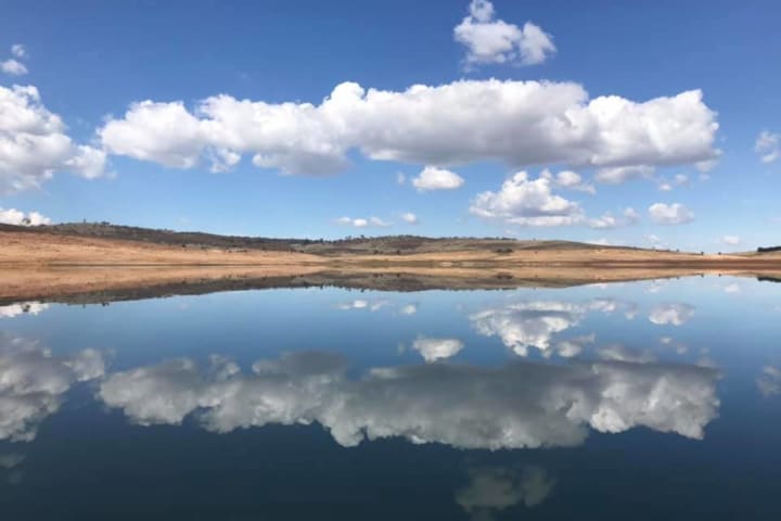 Photo by Eddy & Kathy Tiemens