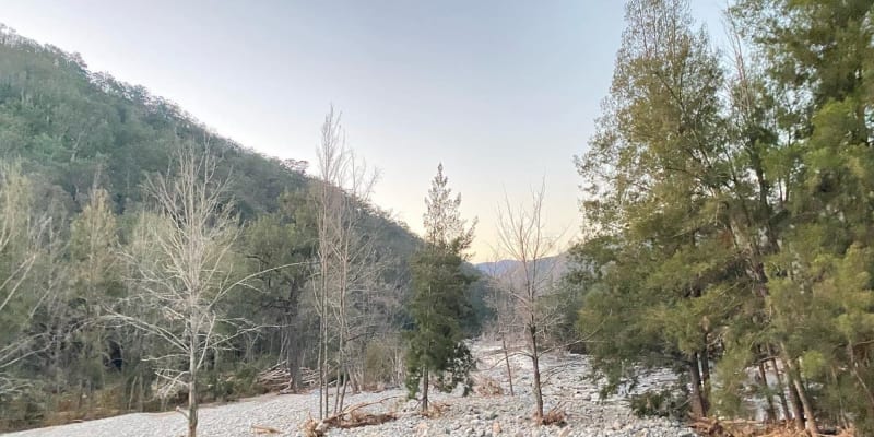 Photo by Catherine M.