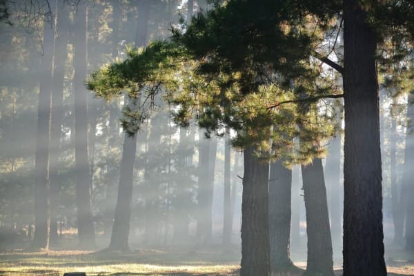 Photo by Brucethegoose