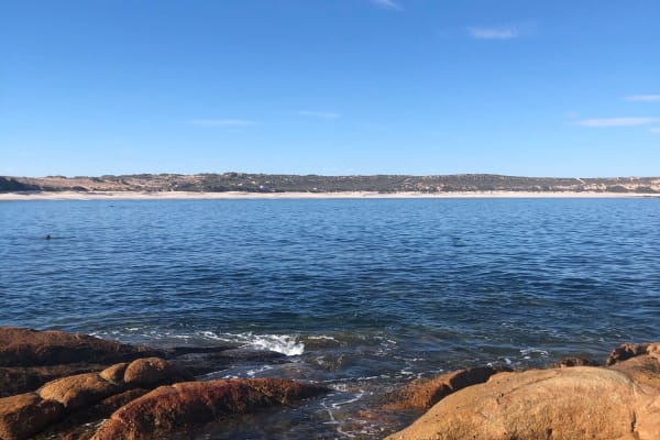 Photo by Philippa D.