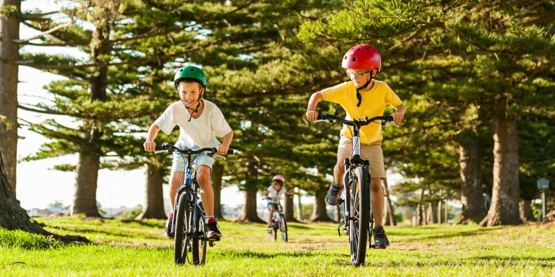 Photo by DANIELLE C.