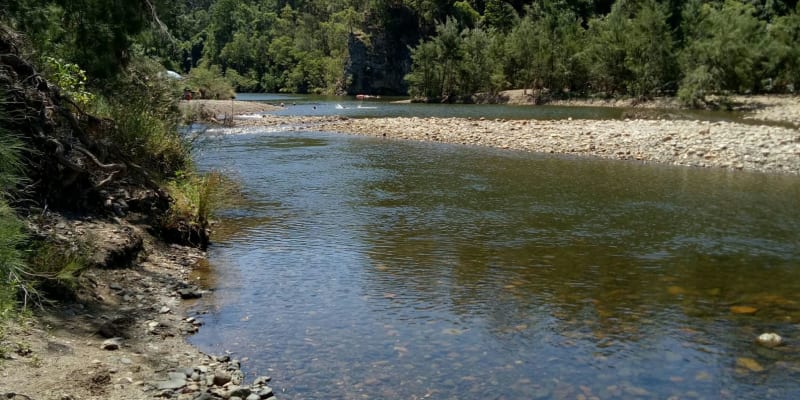 Photo by ChickadelaNaranja