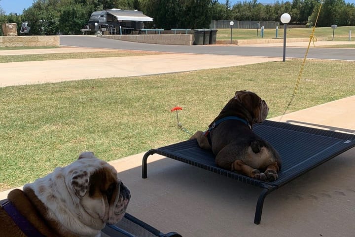 Photo by Valentina D.