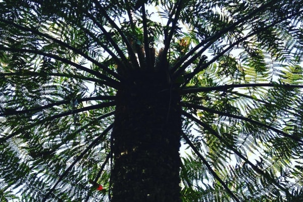 Photo by Brucethegoose