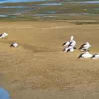 Photo by Colin van den Hoff