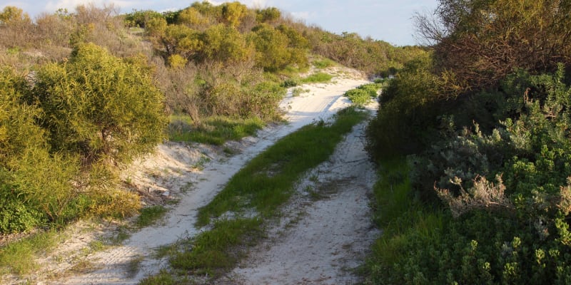 Photo by Four Hands in a Tin Can