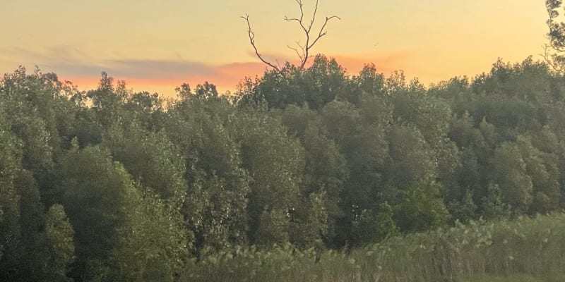 Photo by Kerrie  Deaves