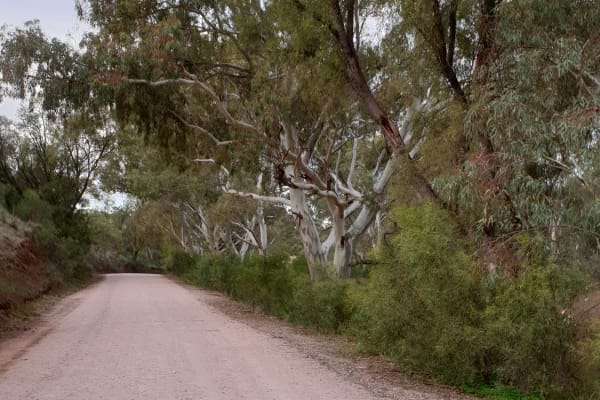 Photo by Kristine S.