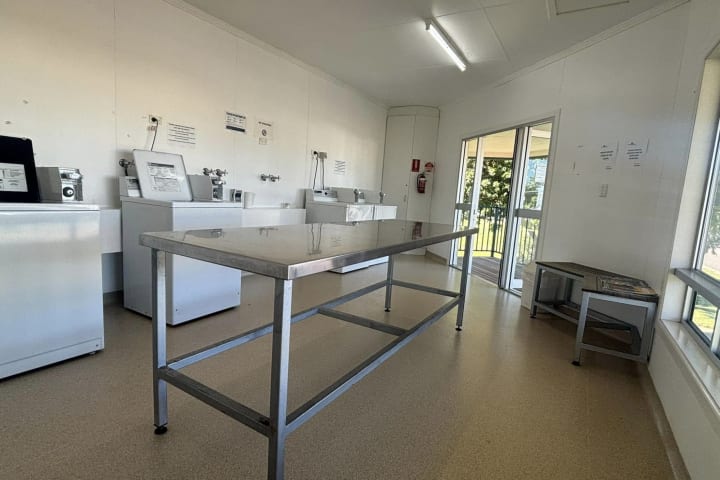 Photo by Veronica P.