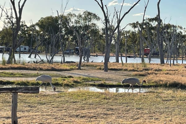 Photo by Happy Hour Hunters