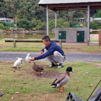 Photo by Tuan Rooster Nguyen