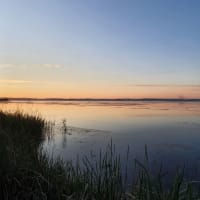 Photo by Victoria W.