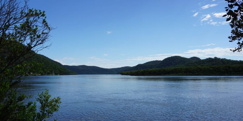 Photo by Nattaporn B.