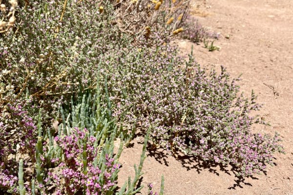 Photo by Happy Hour Hunters