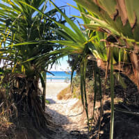 Photo by Alistair C.