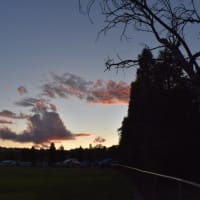 Photo by algebuckina