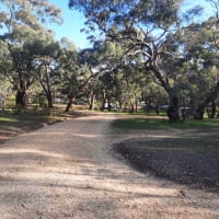 Photo by Lea-ann Mc Arthur