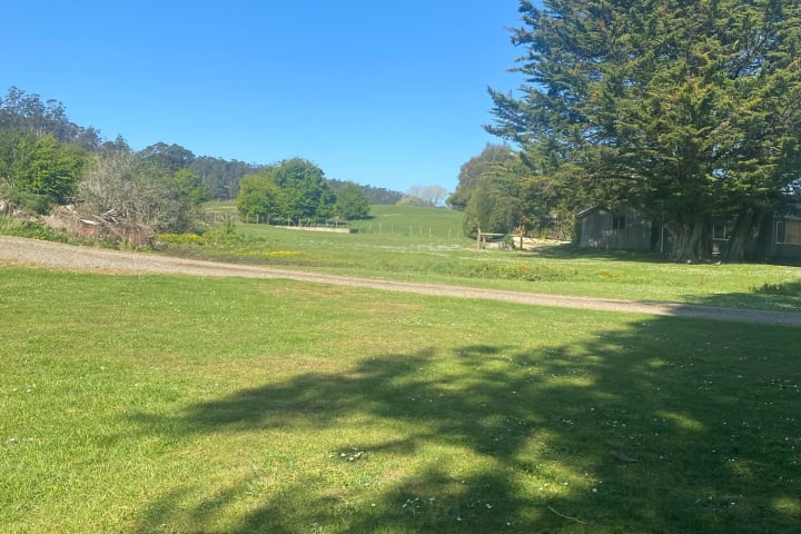 Photo by Samantha k.