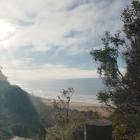 Photo by Sarah Jane Hill