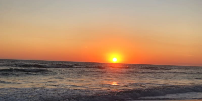 Photo by Brucethegoose