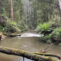 Photo by theotwaypanther