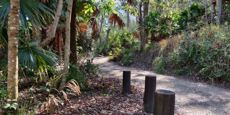 Photo of Fern Flat Campground