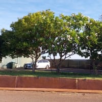 Photo by Colin van den Hoff