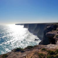 Photo by Olivia Bataligin Averkin