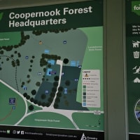 Photo by Christie B.