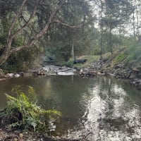 Photo by Paul J Polderman