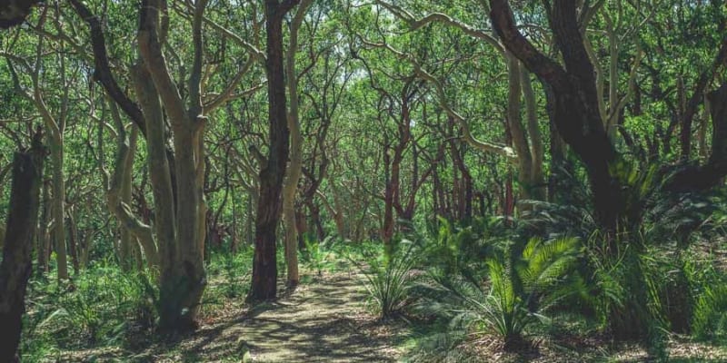 Photo of Moruya North Head Campground