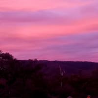 Photo by Nickolas S.