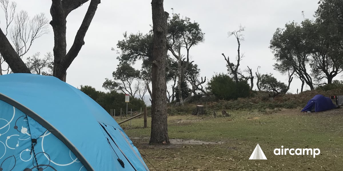 Picnic Point campground Anycamp