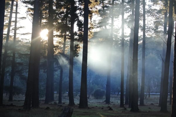 Photo by Brucethegoose