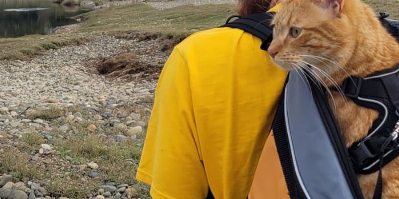 Photo by Sanchia Keeleigh Gray