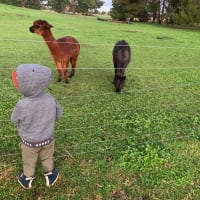 Photo by Gabrielle s.