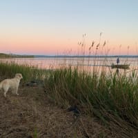 Photo by Catarina A.