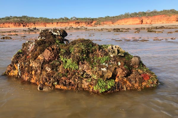 Photo by WANDERINGAUST