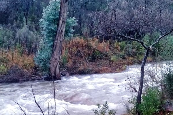 Photo by Dannielle P.