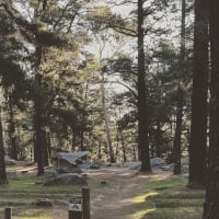 Photo by The Midweek Escape Artist