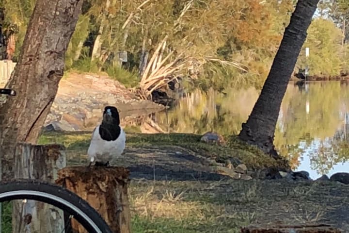 Photo by Margaret McNeill Ljubicic