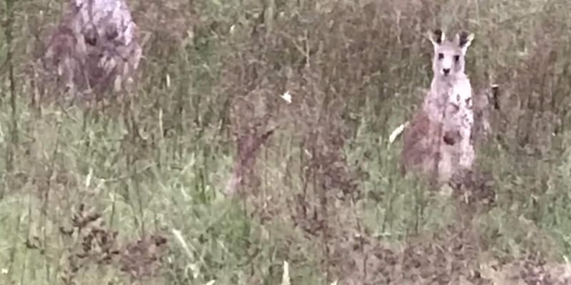 Photo by Emily S Jones